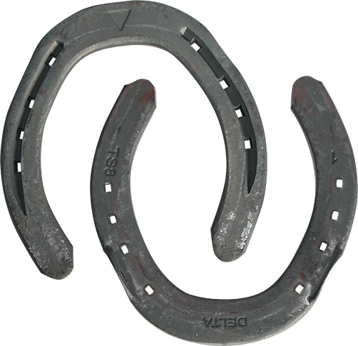 Delta Challenger TS8 Hind